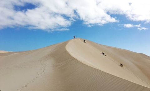 Almonta Beach dunes