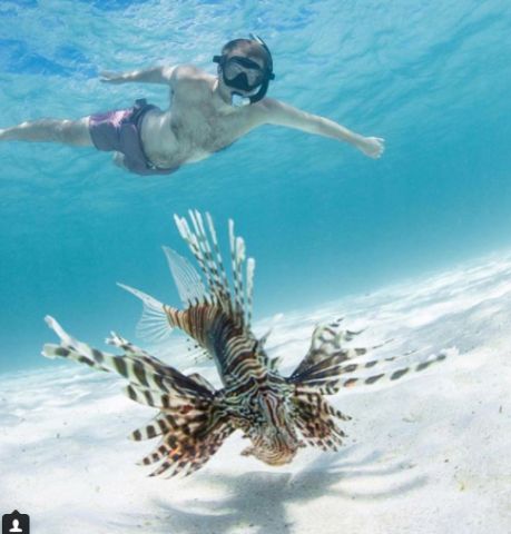 Snorkeling at Coral Bay