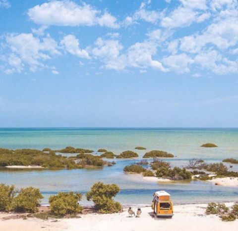 new beach, bush bay
