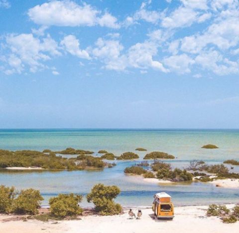 new beach, bush bay