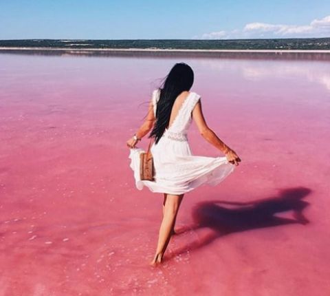 pink lake 