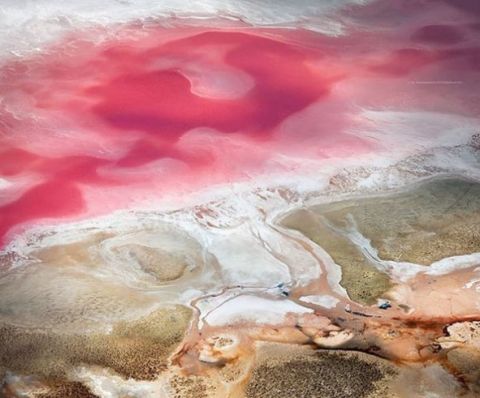 pink lake of Hutt Lagoon