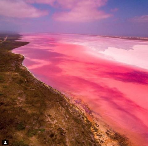 pink lake Hutt Lagoon Western Australia