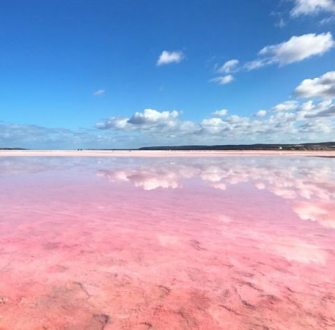 pink lake Hutt Lagoon Western Australia