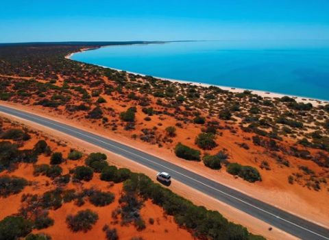 Shark Bay word heritage area