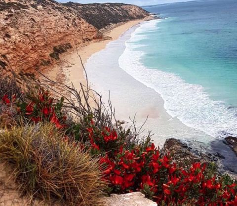 lLincoln National Park