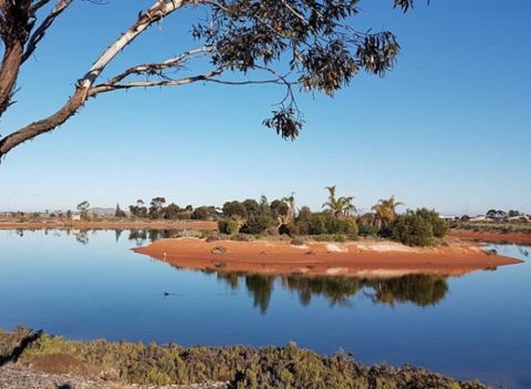 Whyalla wetlands