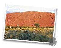Uluru-Kata Tjuta National Park Northern Territory
